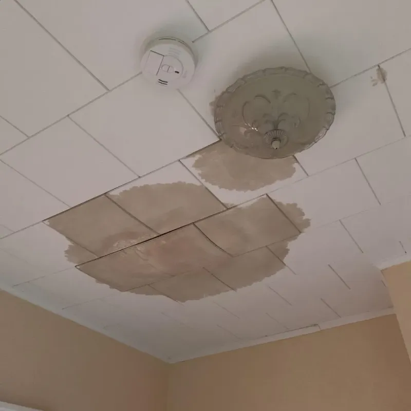 Ceiling Water Damage Repair in Crawford County, AR