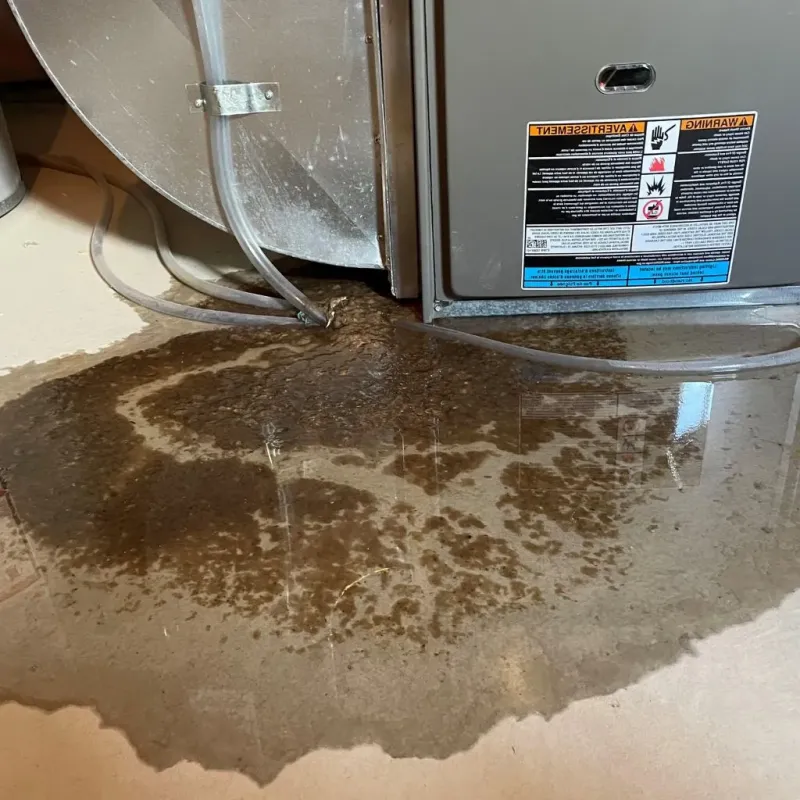 Pipe Burst and Leak Restoration in Crawford County, AR